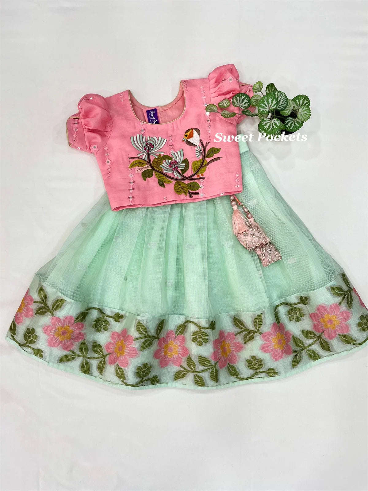 Age: 1-2 year (Croptop)