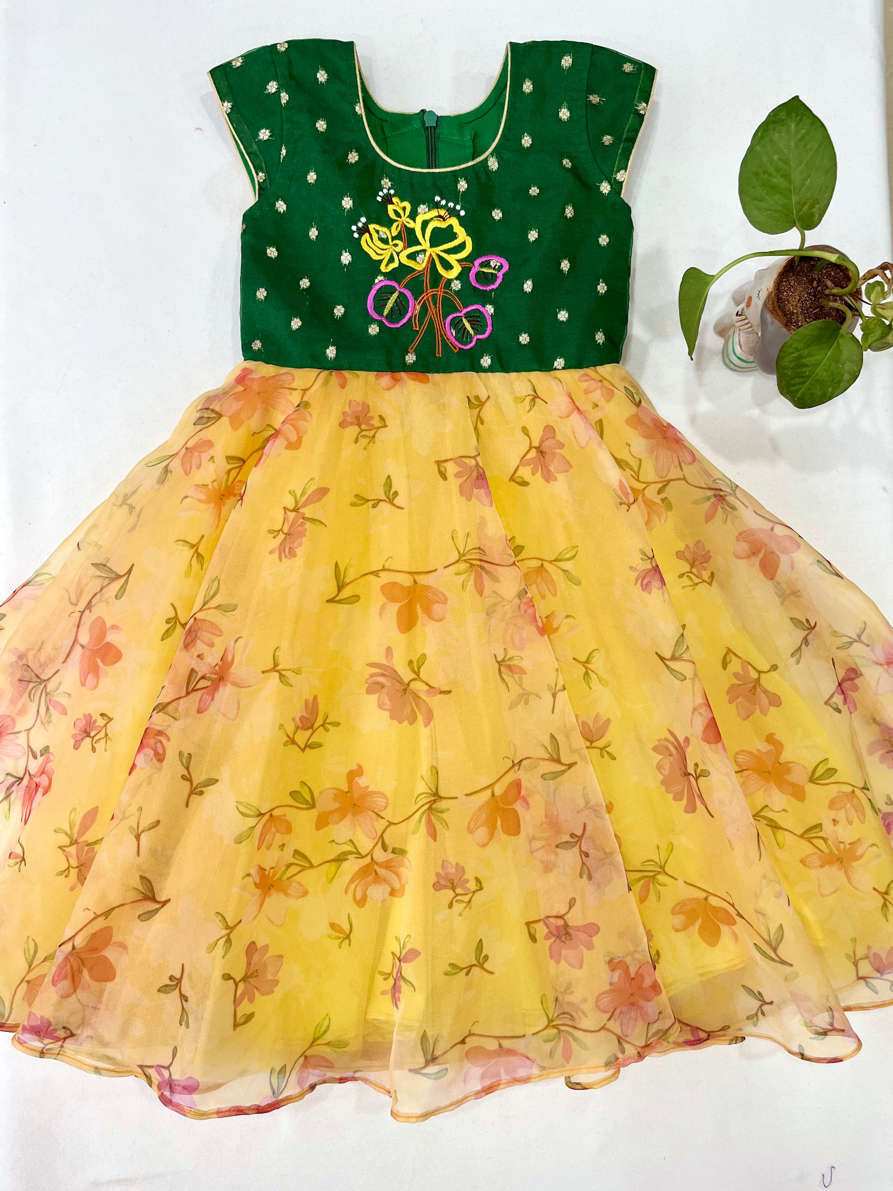 Age : 2-3 year