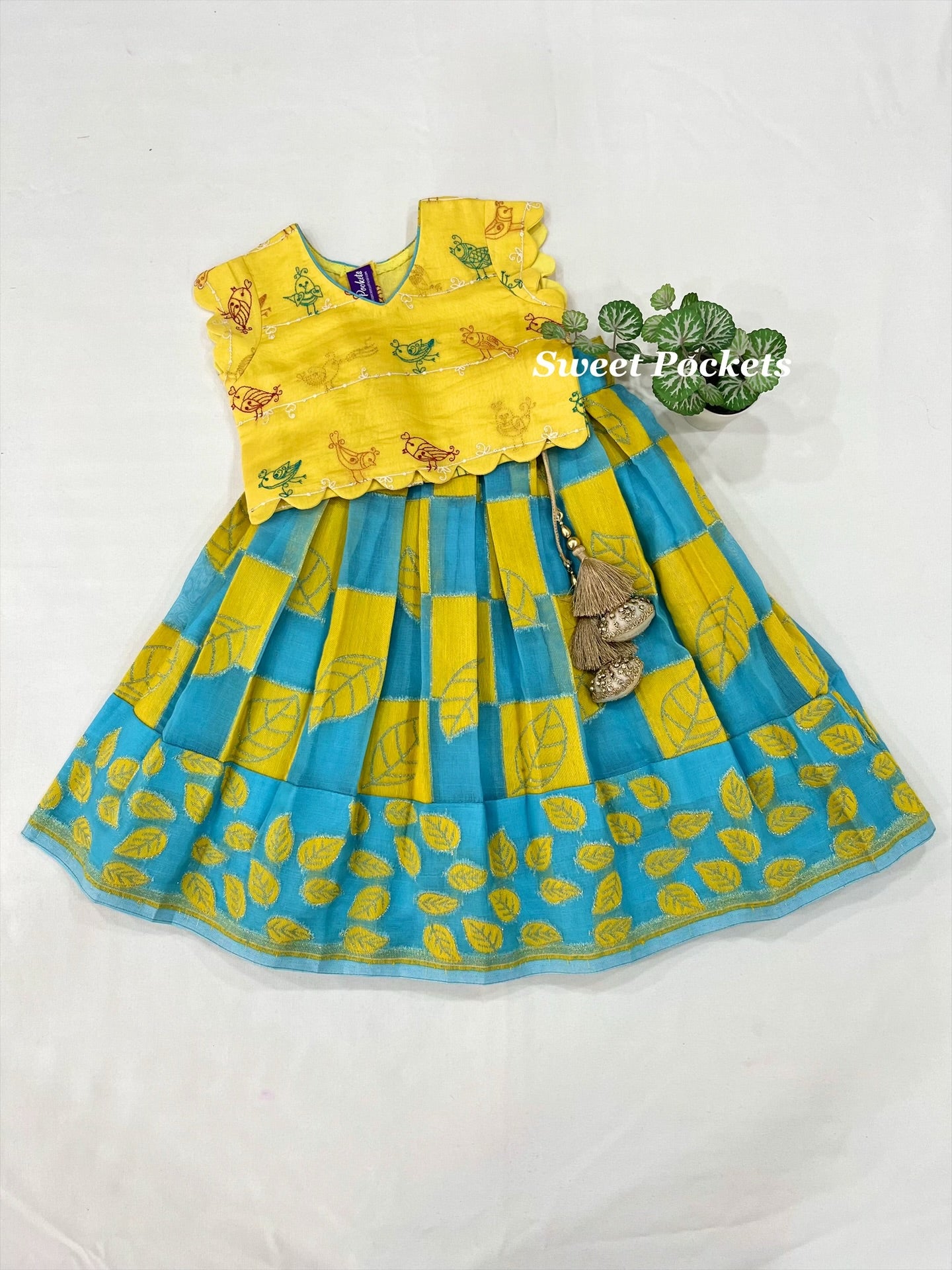 Age: 1-2 year (Croptop)