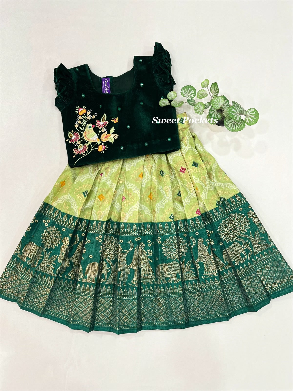 Age : 1-2 year