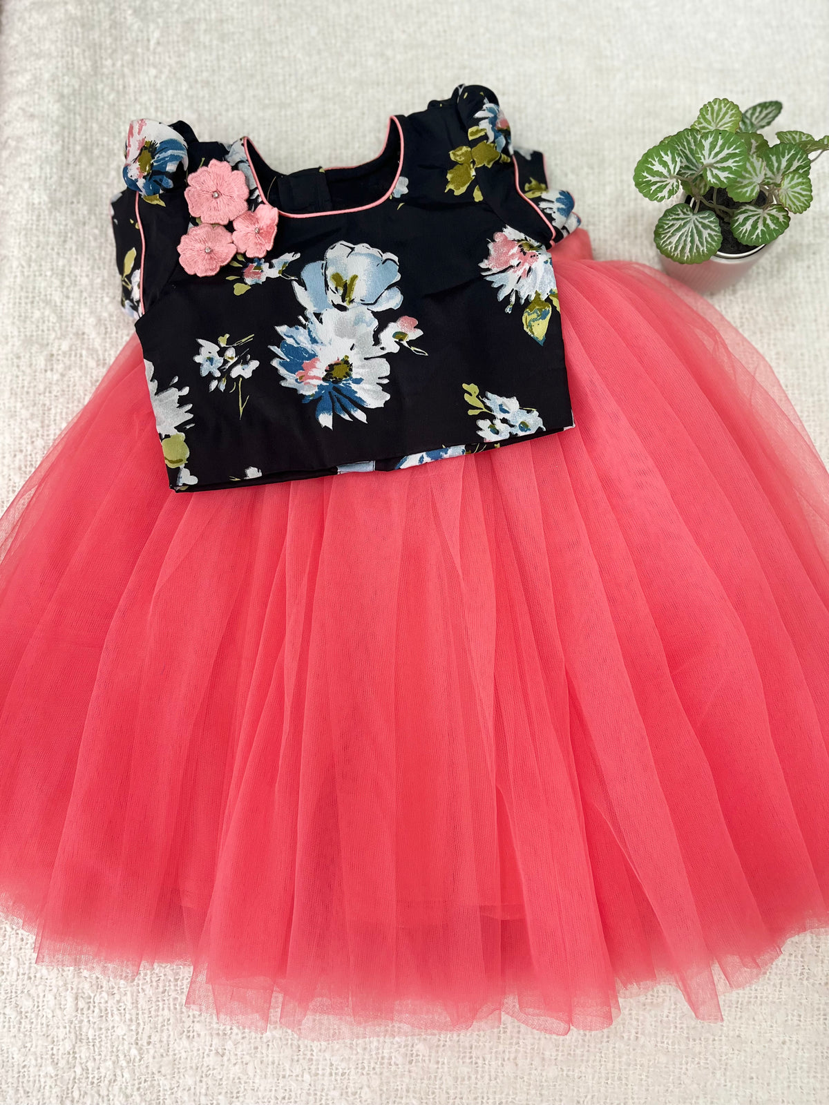 Age : 2-3 year