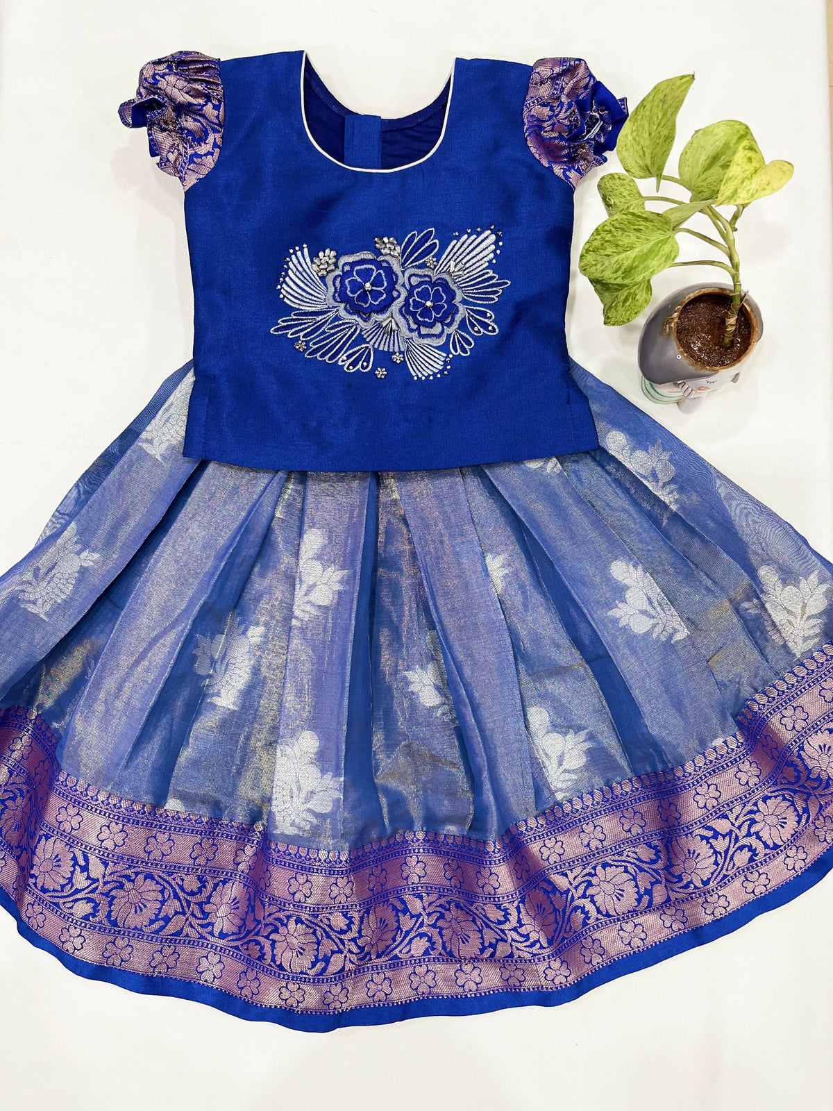 Age : 1-2 year