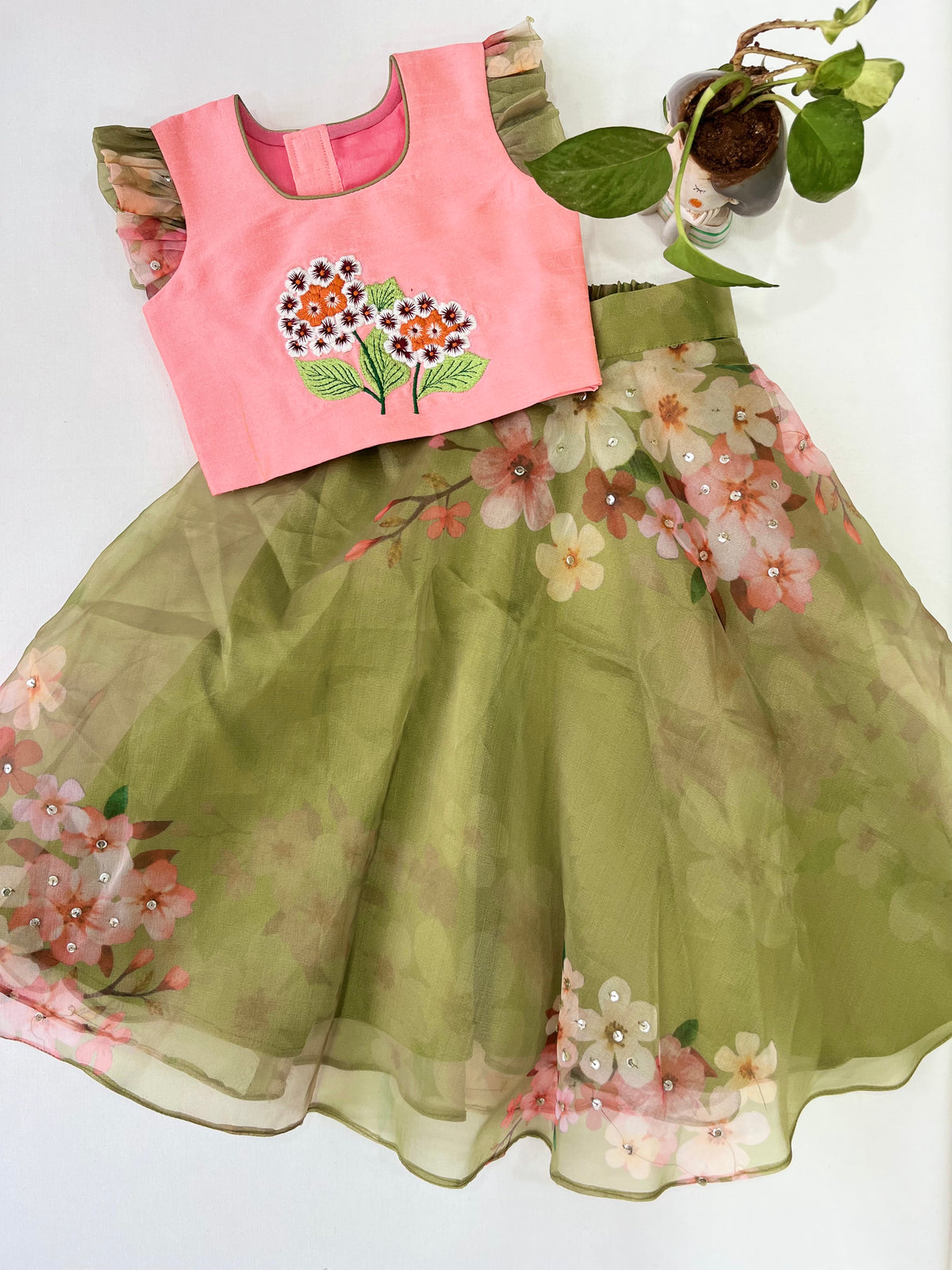Age : 1-2 year
