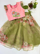 Age : 1-2 year