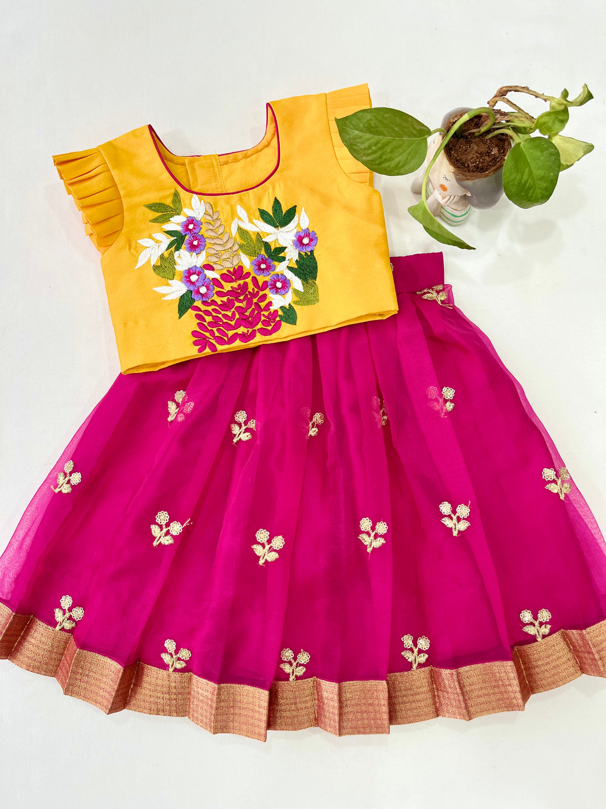 Age : 0-1 year