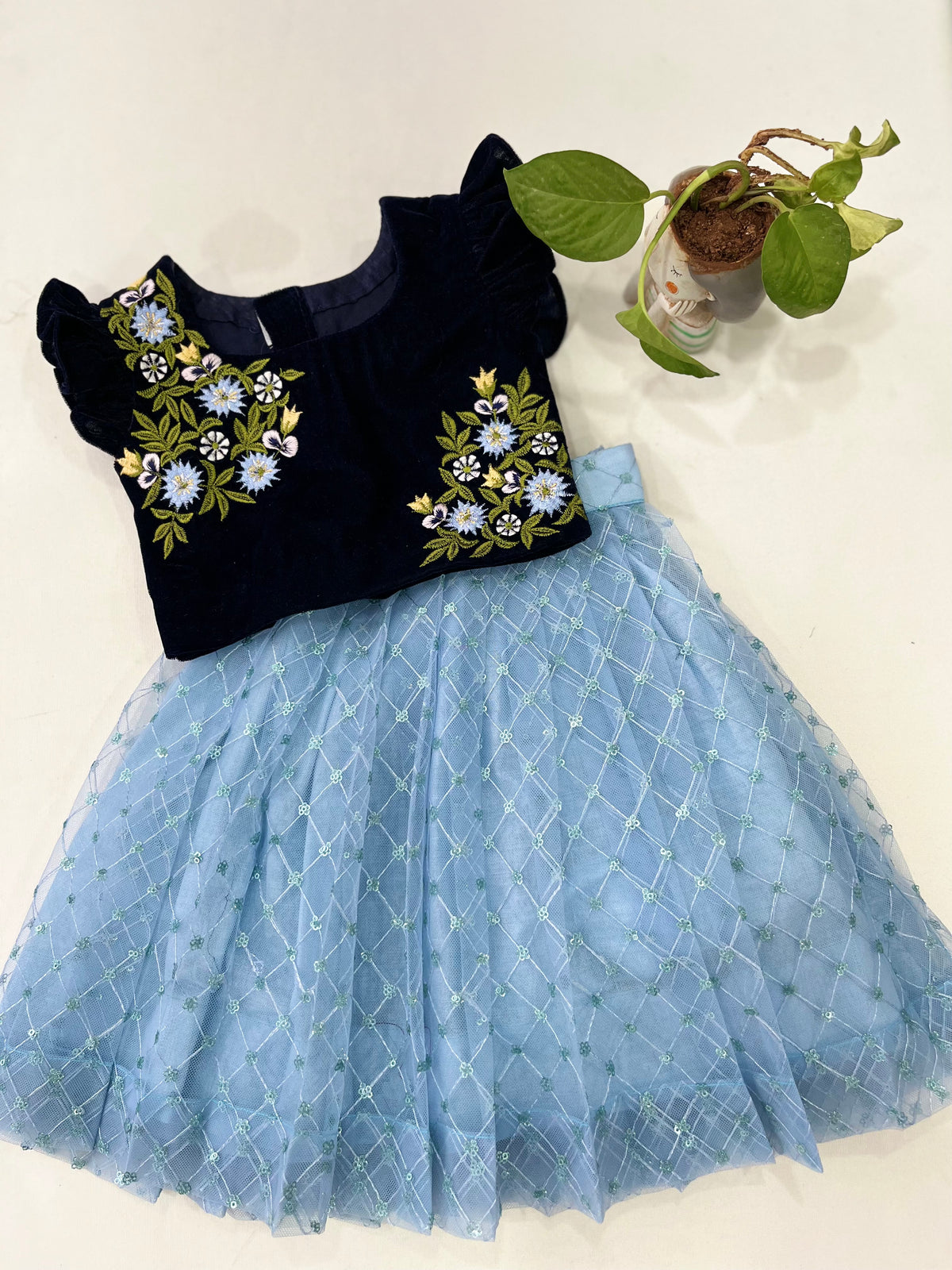 Age : 0-1 year