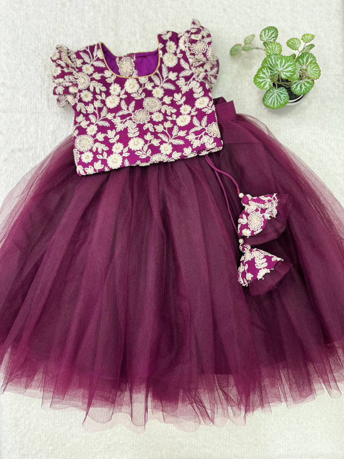 Age : 1-2 year