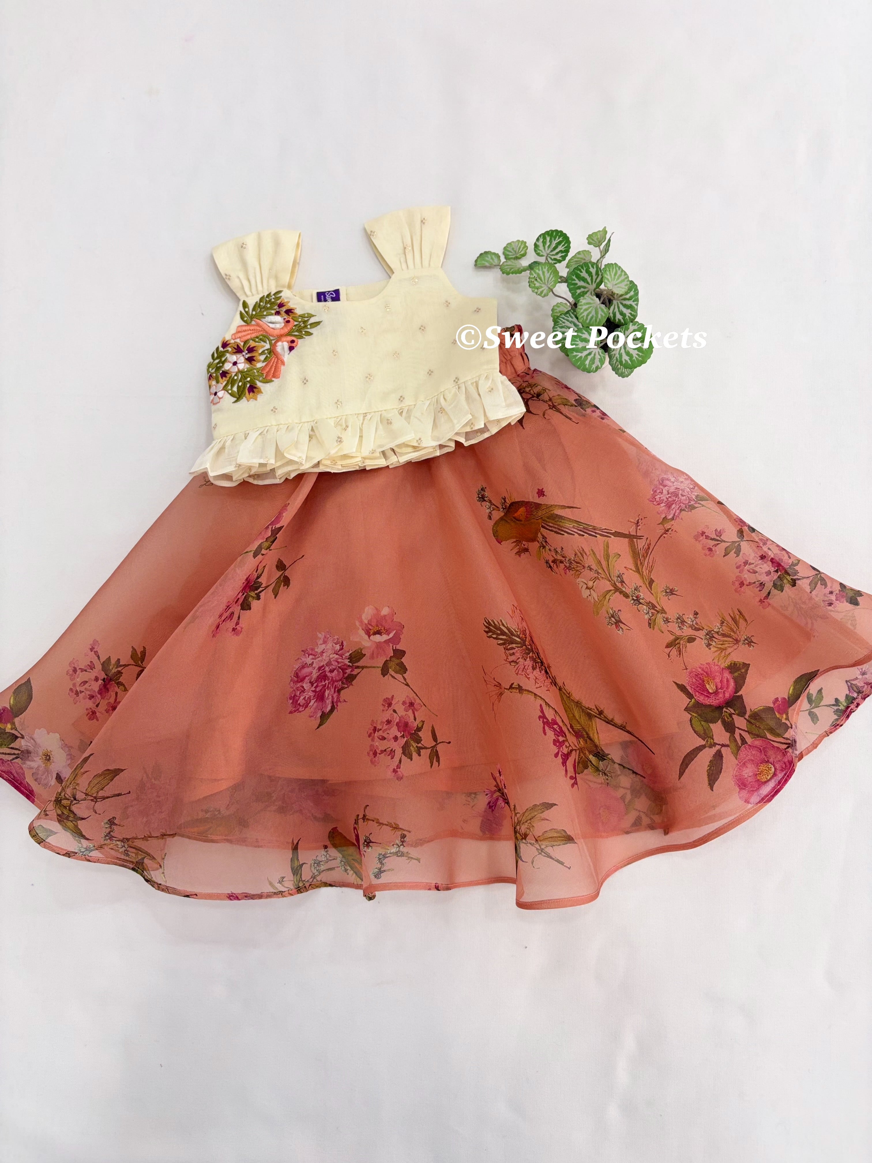 Age: 1-2 year (Croptop)