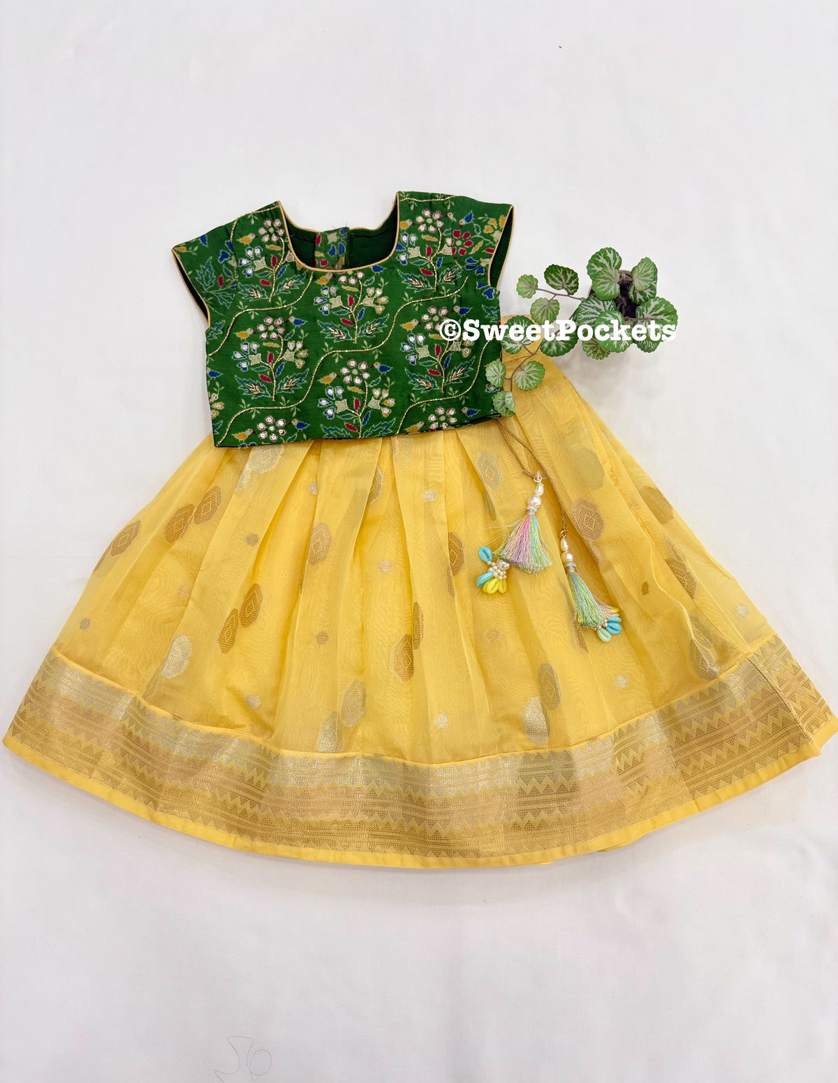 Age: 1-2 year (Croptop)