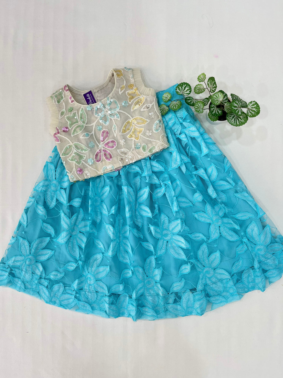 Age : 1-2 year