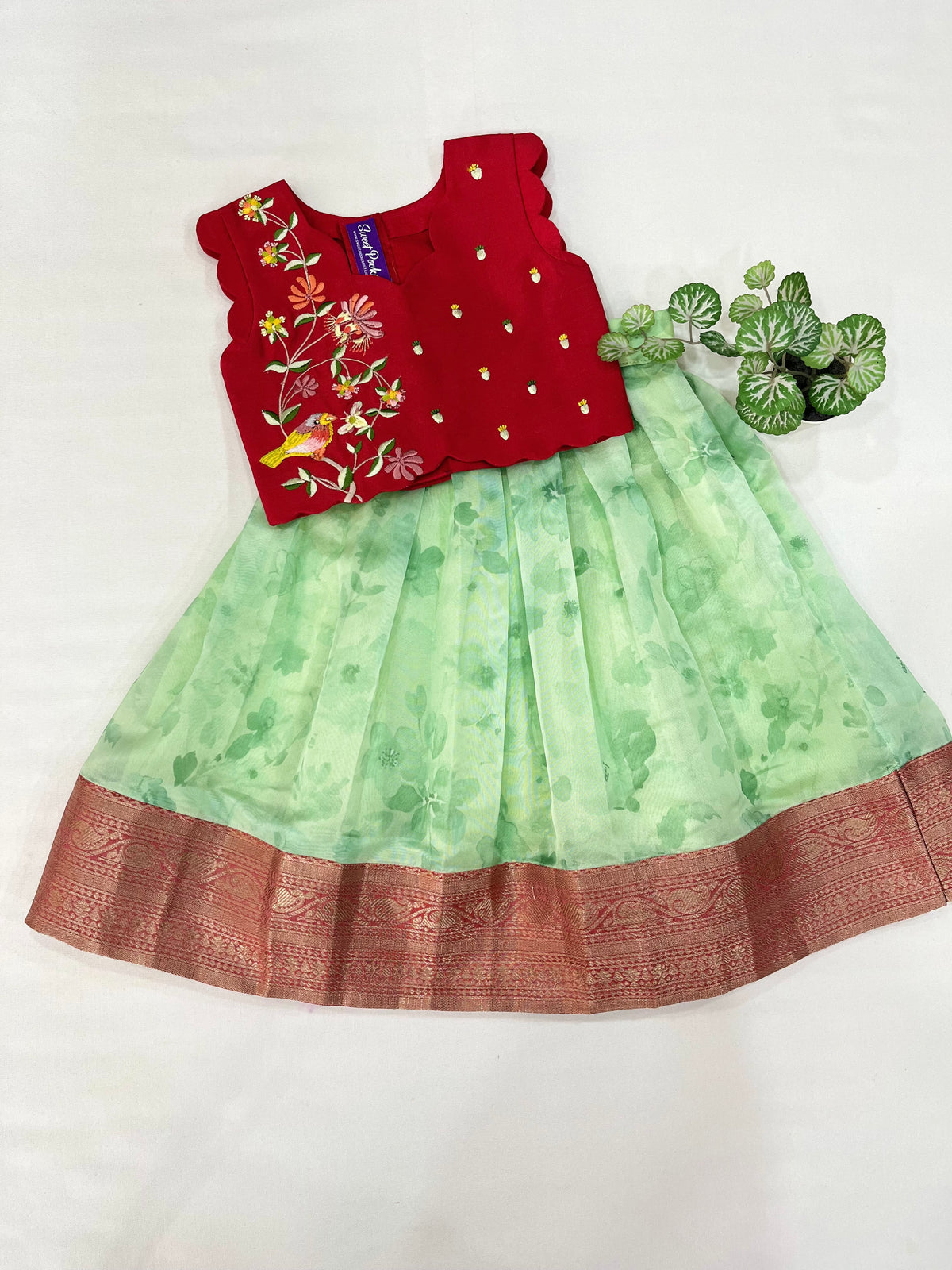 Age : 1-2 year