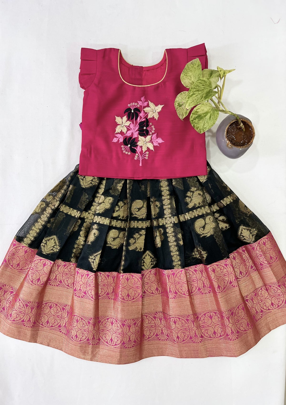 Age : 0-1 year